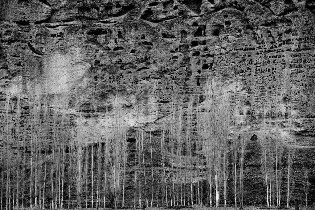 Imaginations of the Future